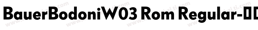 BauerBodoniW03 Rom Regular字体转换
